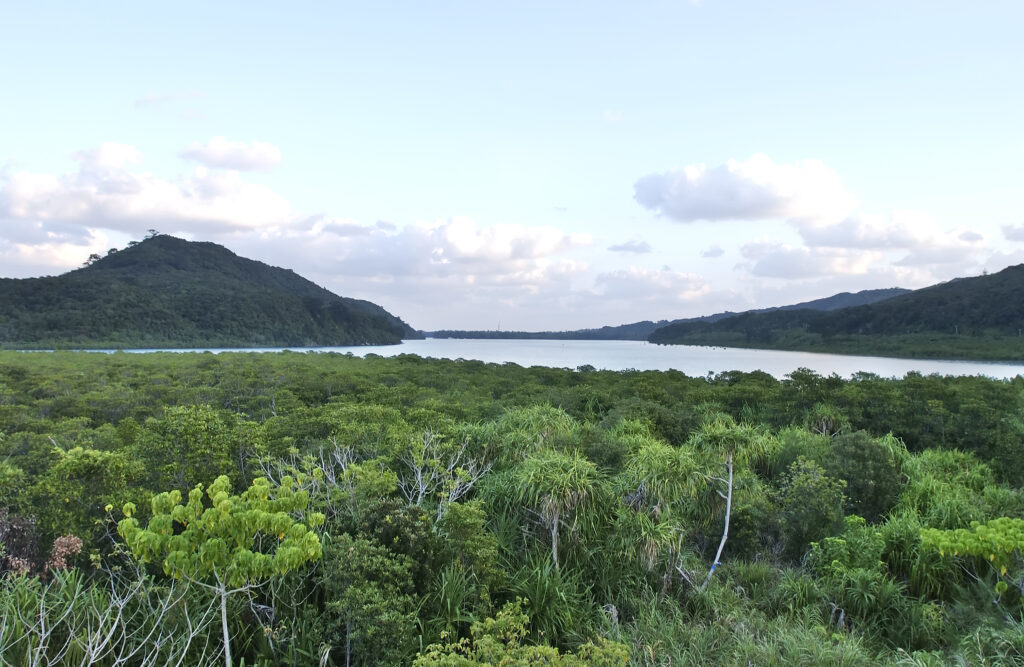 Linux: تعطل apt / dnf / pacman — الأسباب وطرق الإصلاح