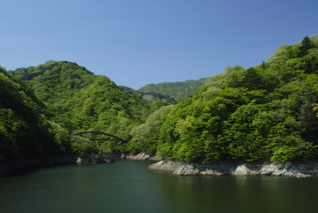 Linux: apt / dnf / pacman sono rotti — cause e soluzioni