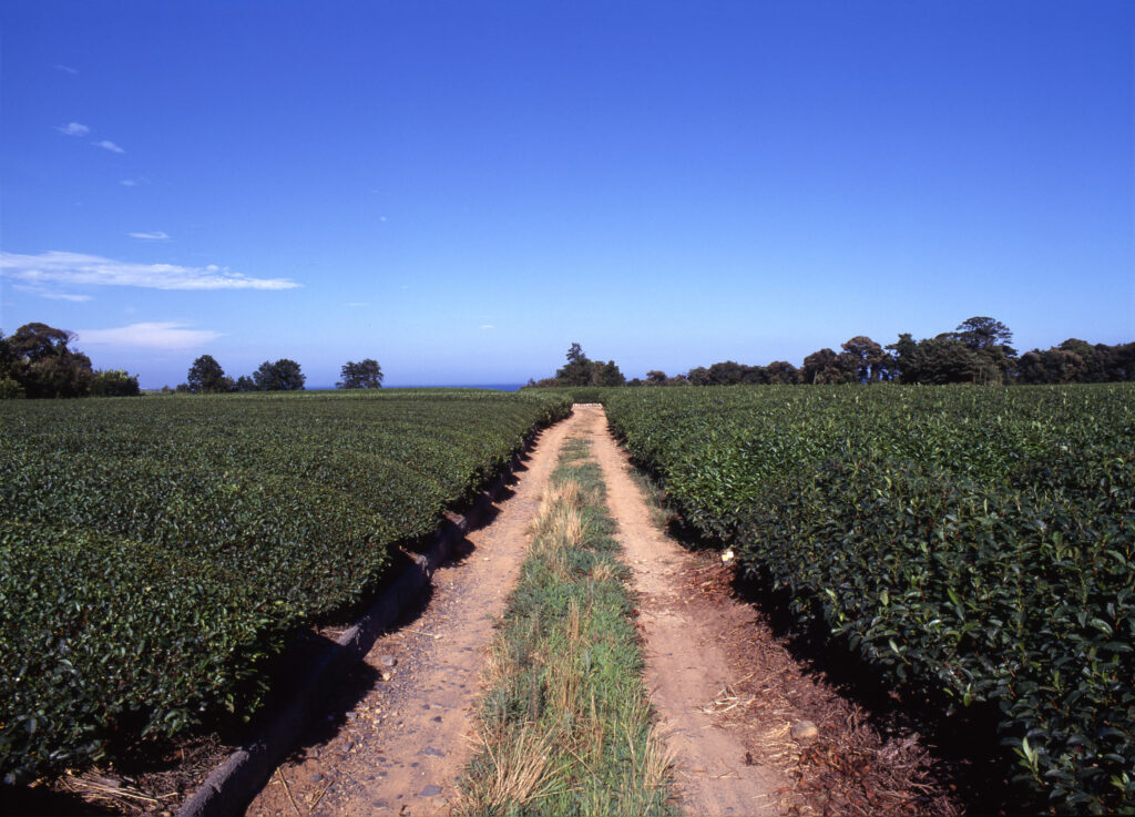 Немагчыма загрузіцца з Live USB: прычыны і падрабязныя спосабы вырашэння