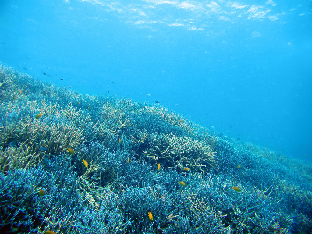 What Causes apt / dnf / pacman to Break on Linux, and How to Fix It