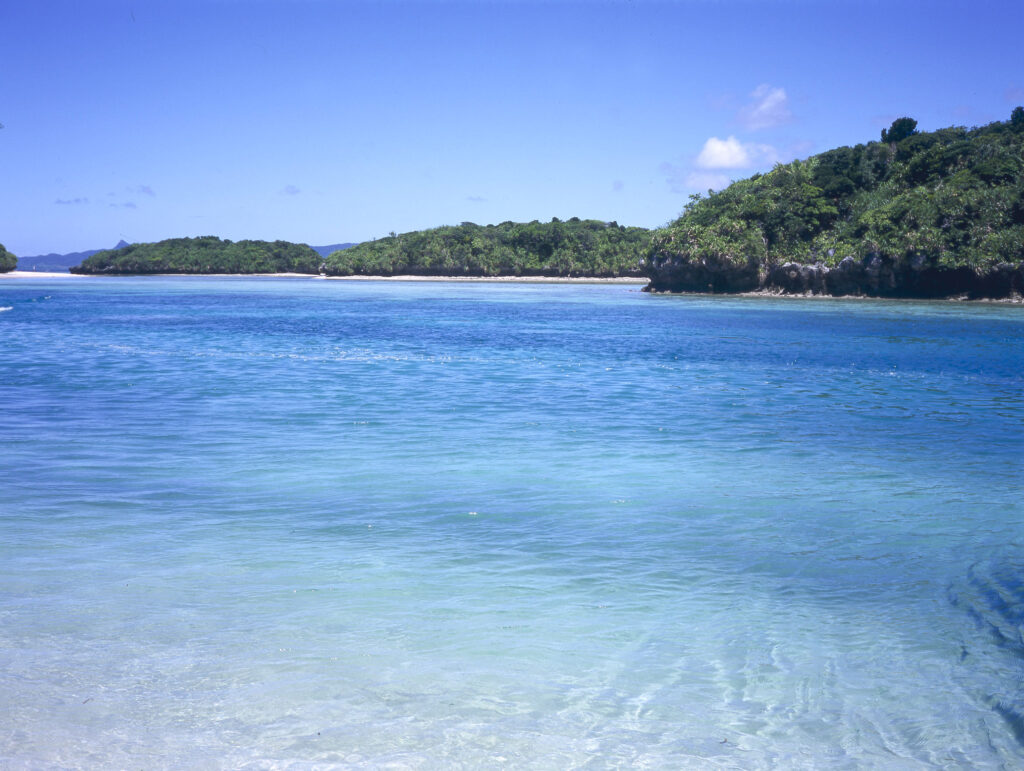 Linux açılarkən xəta mesajı görünür: səbəblər və ətraflı həll yolları