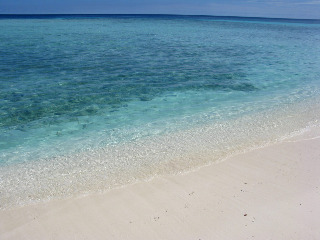 Dual Boot (ใช้งานร่วมกับ Windows) บูตไม่ขึ้น: สาเหตุและวิธีแก้ไข