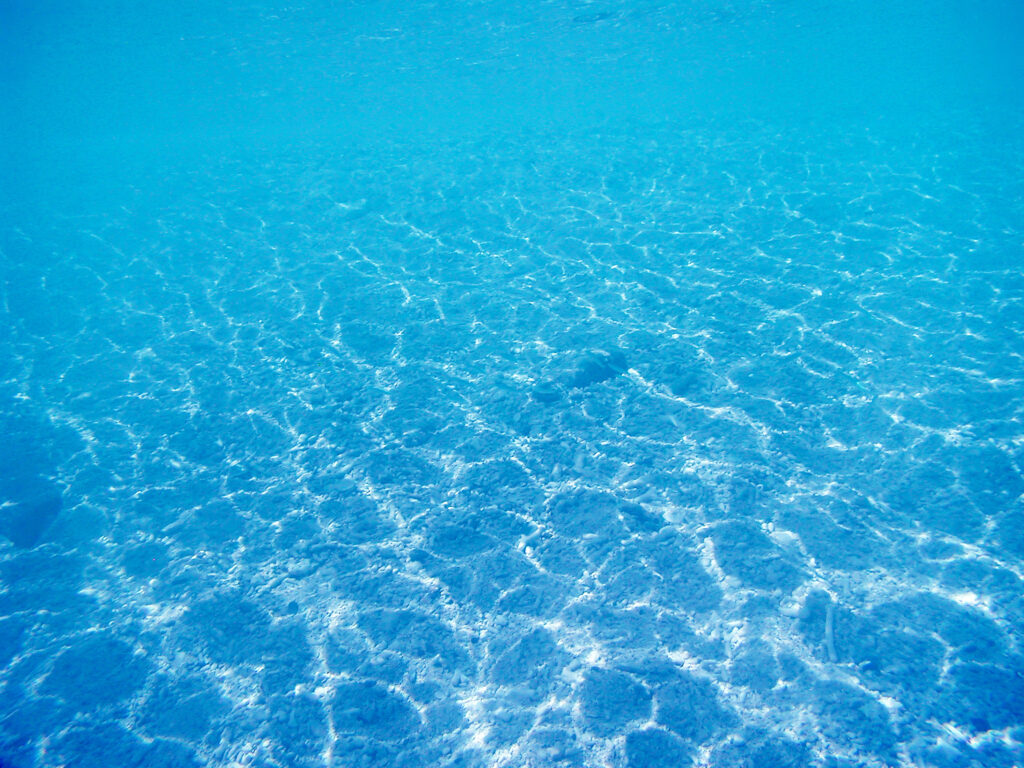 Linux แก้ไขปัญหา DNS ไม่สามารถ Resolve ได้: สาเหตุและวิธีแก้